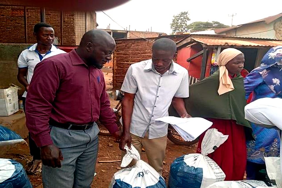 Groundnut seed distribution