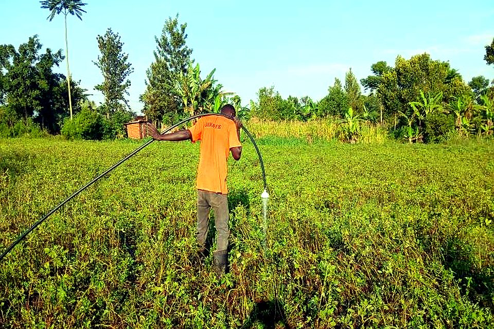 A farmer irrigating a groundnut field in Namutumba District