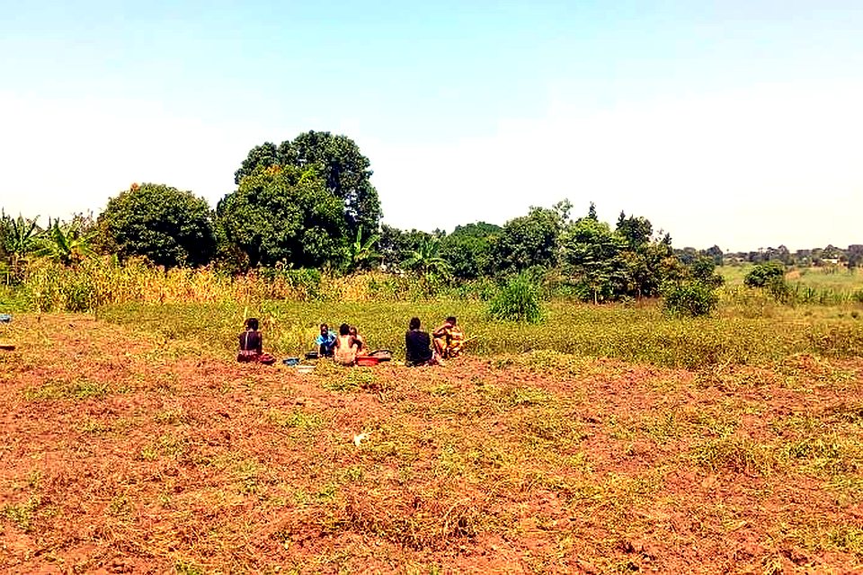 Farmer watering groundnuts